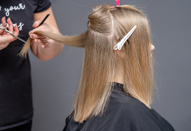 Butterfly Cut