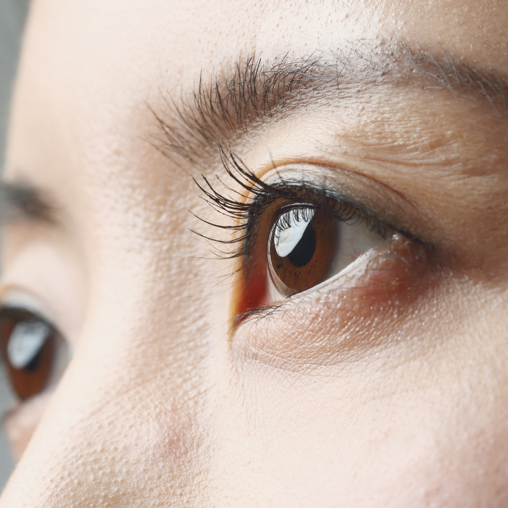 Eyebrow design consultation